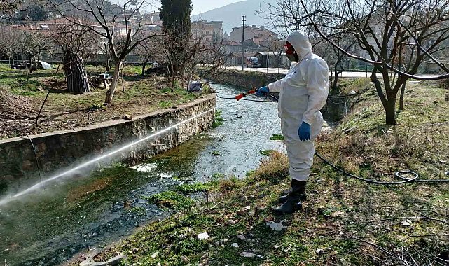 Bilecik'te sivrisineklerle mücadeleye devam ediyor