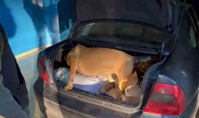 Bingöl'de uyuşturucu operasyonuna 2 gözaltı