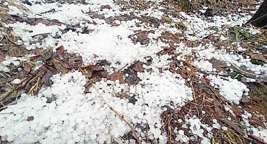 Bitlis'te dolu etkili oldu