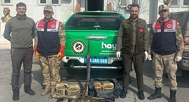 Bitlis'te yasa dışı keklik avına 114 bin 910 TL ceza
