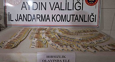 Bozdoğan'da 6 milyon TL'lik hırsızlık