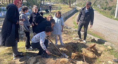 Bozyazı'da fidanlar toprakla buluşturuldu