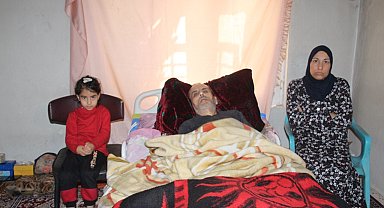 Budamak için çıktığı ağaç hayatını karattı