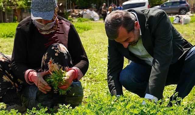 Bursa Gürsu'ya 'Altın' değerinde bir proje