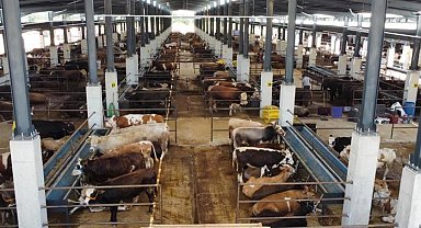 Bursa İnegöl'de hayvan pazarının kotra ihale tarihi netleşti