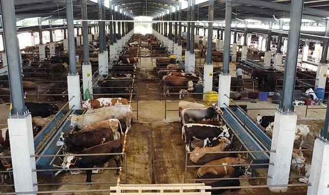 Bursa İnegöl'de hayvan pazarının kotra ihale tarihi netleşti