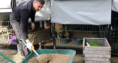 Bursa Mudanya'da can dostlar aç kalmıyor