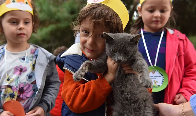 Bursa Yıldırım'da 625 patili dost sıcak yuvaya kavuştu