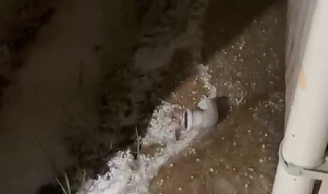 Bursa'da dolu yağışı fidelere zarar verdi