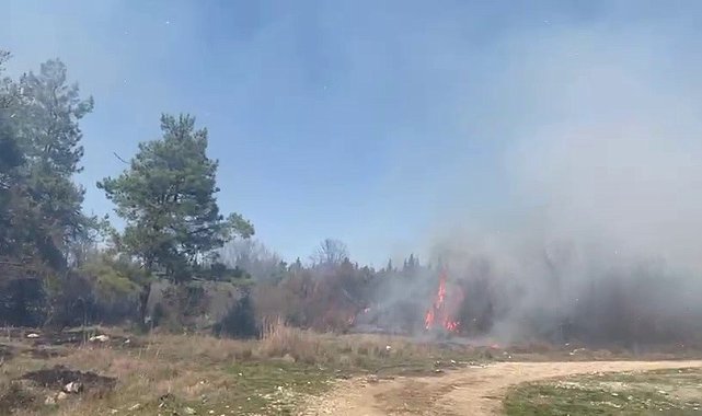 Bursa'da korkutan orman yangını: Müdahale sürüyor