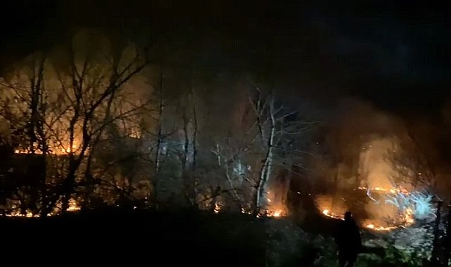 Bursa'da ormanlık alanda yangın