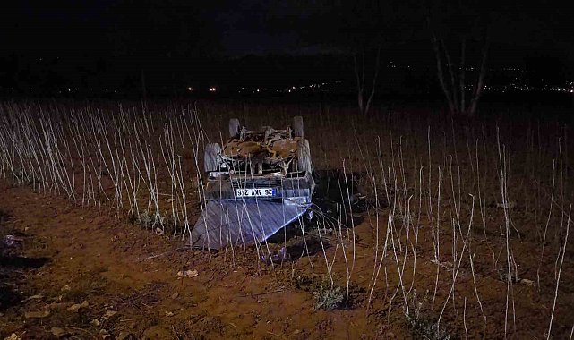 Bursa'da otomobil tarlaya uçtu: 1 yaralı