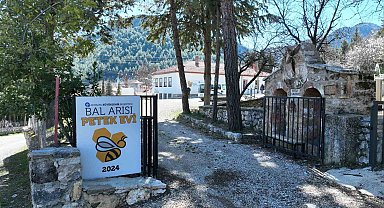 Büyükşehir Belediyesinin Bal Arısı Petek Evi açılışa hazırlanıyor
