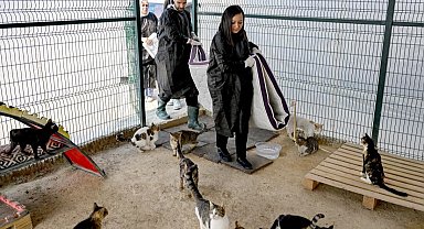 Büyükşehir ve gönüllüler patili dostlar için iş birliği yapıyor