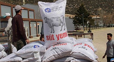 Büyükşehir'in üreticilere yem desteği sürüyor