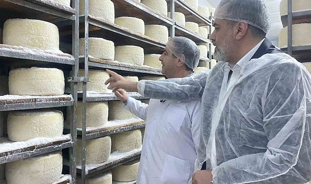 Çadırda başladığı peynir üretiminde dünyaya açıldı