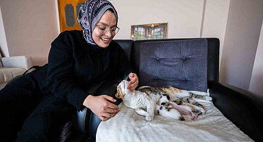 Camiye sığınan kedi ve yavruları yeni yuvasına kavuştu