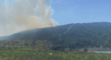 Çanakkale'de orman yangını