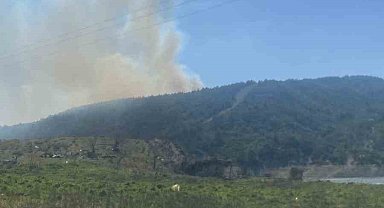 Çanakkale'deki orman yangınında 3 hektar alan zarar gördü