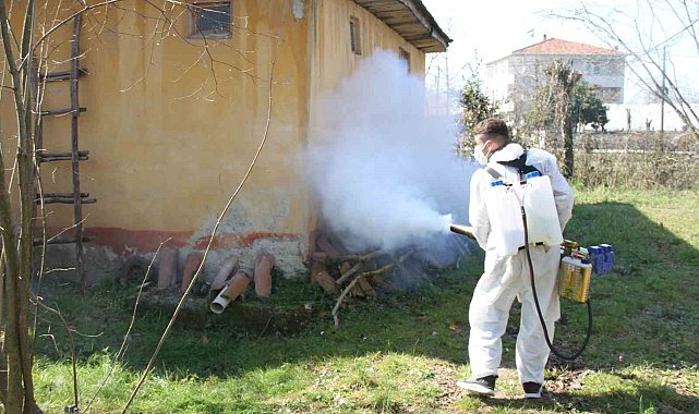 Çarşamba'da mahalleler ilaçlanıyor