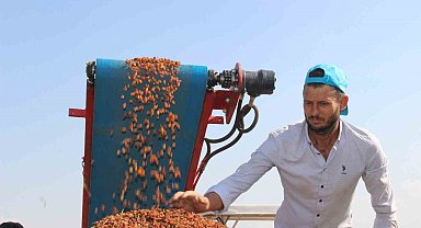 Çekirdeksiz kuru üzümde ihracat yüzde 13 arttı