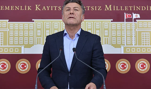 CHP'li Sarıbal: Bursa'da koruma altındaki ayıya ne oldu?