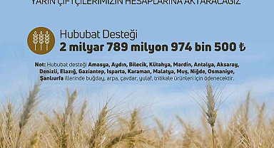 Çiftçilere hububat destek ödemesi yapılacak