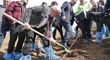 Çiftçiye destek için 6 dekarlık alana ahududu dikildi