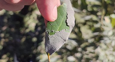 Çimento tozu 'kansere ve cilt hastalıklarına' en büyük etken!