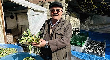 Çiriş otu tezgahlarındaki yerini aldı