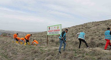 Çorum'da hükümlüler 2 bin fidan dikimi ve 5 bin fidanın bakımını gerçekleştirecek