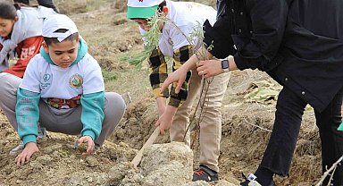 Çorum'da yüzlerce ıhlamur ve lavanta fidanı toprakla buluşturuldu