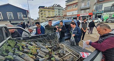 Demirci'de vatandaşlara 3 bin fidan dağıtıldı