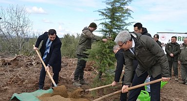 Denetimli serbestlik yükümlüleri fidan dikti
