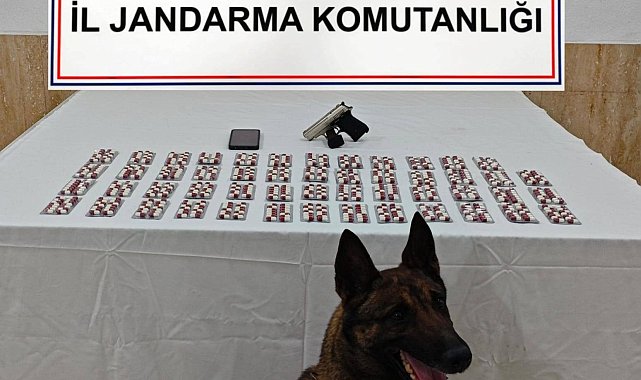 Denizli'de uyuşturucu taciri 2 kişi yakalandı
