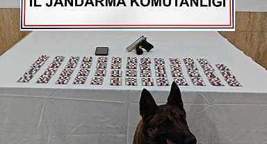 Denizli'de uyuşturucu taciri 2 kişi yakalandı