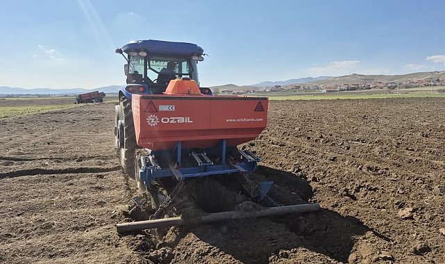 Dinar'da yazlık patates ekimi başladı