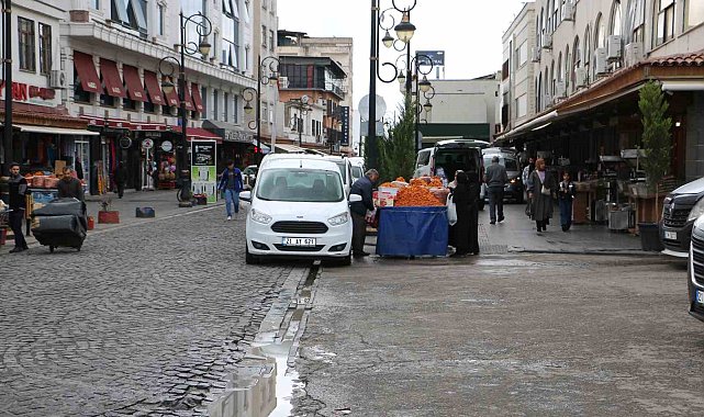 Diyarbakır'da tarihi mekanlardaki başıboş köpekler tedirgin ediyor
