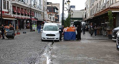 Diyarbakır'da tarihi mekanlardaki başıboş köpekler tedirgin ediyor