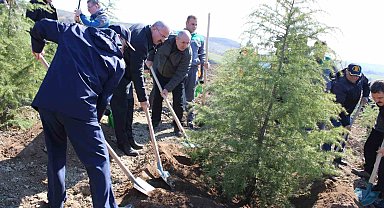 Dünya Ormancılık Günü'nde Çanakkale'de 4 bin fidan toprakla buluştu