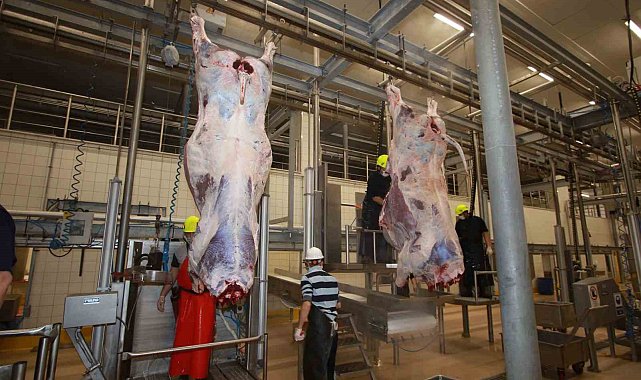 Dünyaya örnek gösterilen mezbahada helal kesim ve uygulamalı eğitim