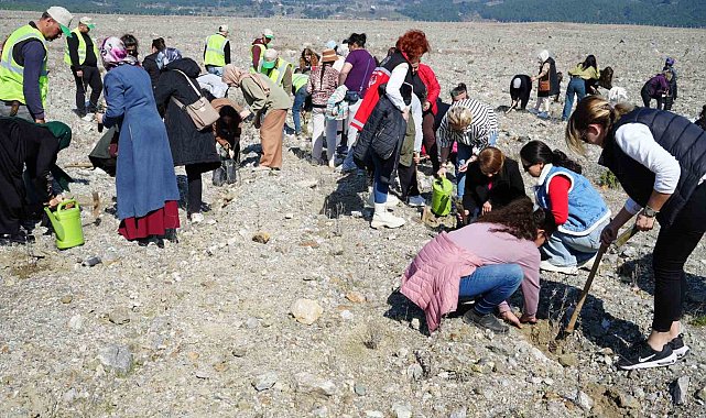Edremit'te "Aile Yılı" kapsamında lavanta fidanı dikildi
