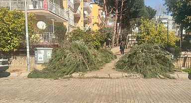 Efeler Belediyesi'nden budama atıkları uyarısı