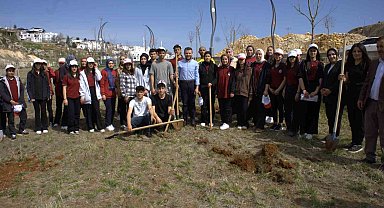 Eğil'de "Narin Hatıra Ormanı" için ilk fidanlar dikildi