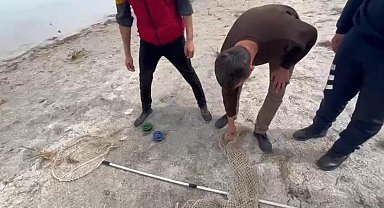 Eğirdir Gölü'nde yasa dışı avcılık yapan 7 kişiye ceza kesildi
