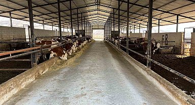 Elazığ'da ari işletme sayısı artıyor