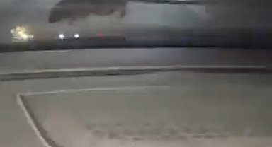 Elazığ'da seyir halindeki otomobilin ön camına 'fare' kondu