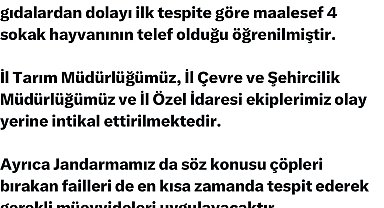 Elazığ'da sokak hayvanlarına zarar verilmesi üzerine Vali Hatipoğlu'ndan açıklama