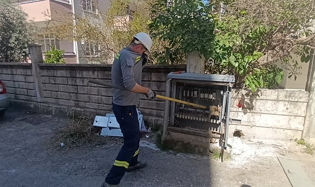 Elektrik baksına giren kedi akıma kapılarak telef oldu