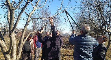 Erzincan çiftçisine 'budama' uyarısı